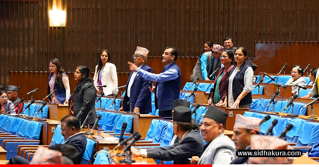 योगेश भट्टराईले माओवादीको हिंसाका कारण विद्युतमा क्रान्ती रोकियो भनेपछि संसदमा हङ्गामा