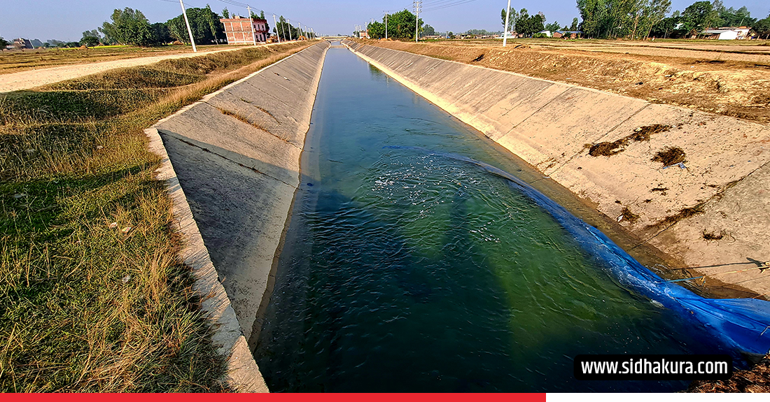 १९ वर्षमा सिक्टा सिँचाइ आयोजनाको भौतिक प्रगति ४१ प्रतिशत, साढे सात अर्बको लागत झण्डै ५३ अर्ब पुग्यो