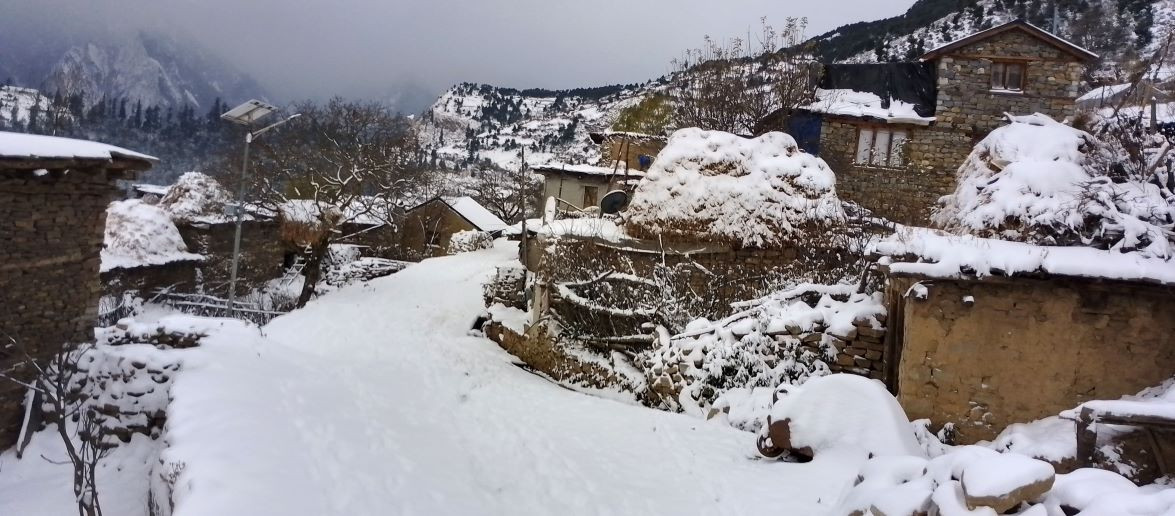 हुम्लामा हिमपात: उत्तरी नाम्खाका चाला, लिमी, हिल्सा, यारी क्षेत्रको जनजीवन प्रभावित