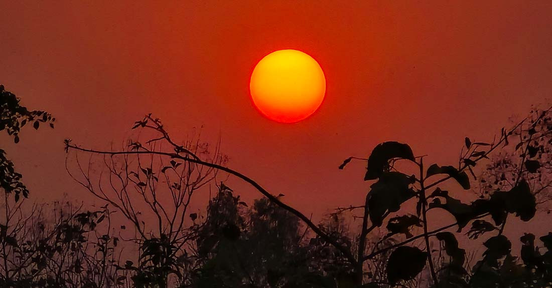 नयाँ वर्षका दिन उत्सवमय चहलपहल