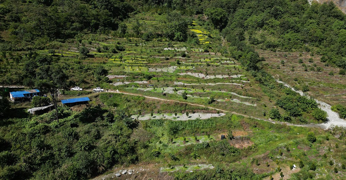 झाडी  फाँडेर एक सय ३० रोपनी जग्गामा सामूहिक सुन्तला खेती