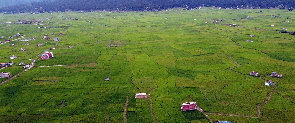 अठ्ठाइस वर्षपछि जग्गाको स्वामित्व पाउँदा...