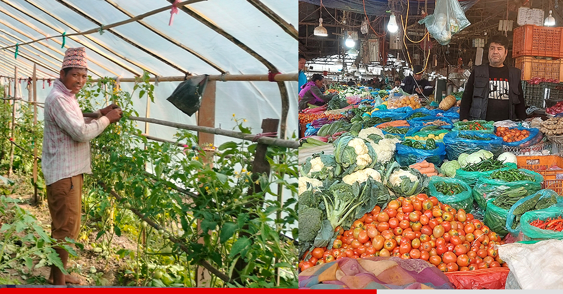 यस्तो छ आजको तरकारी र फलफूलको थोक मूल्य