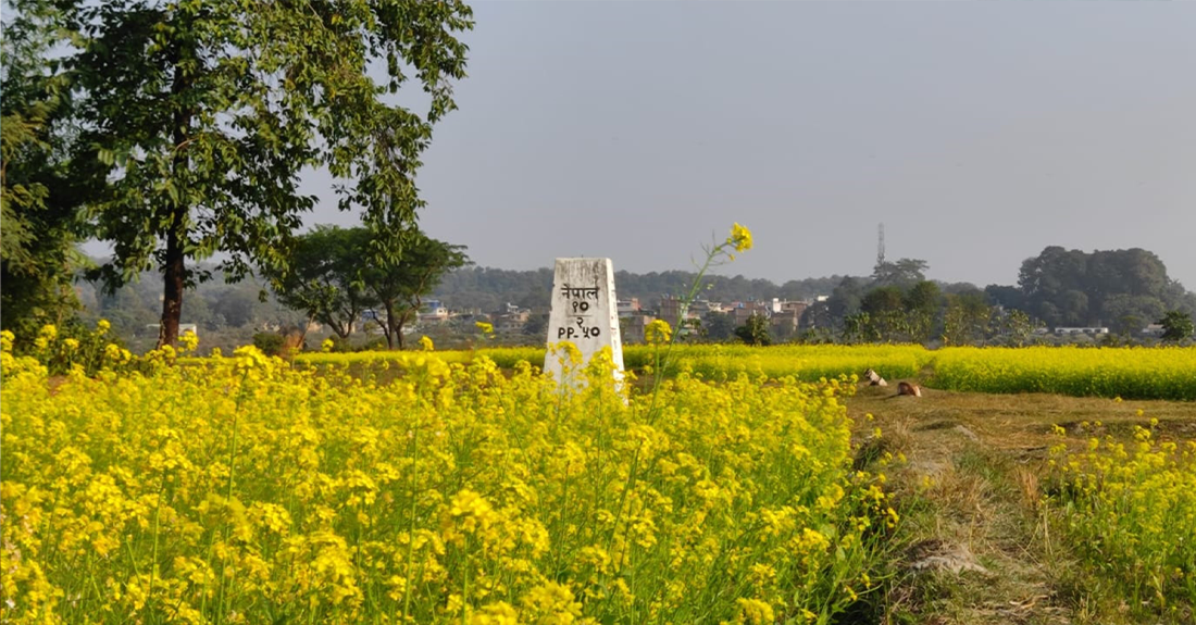 दशगजा वारिपारि पहेँलपुर तोरीबारी
