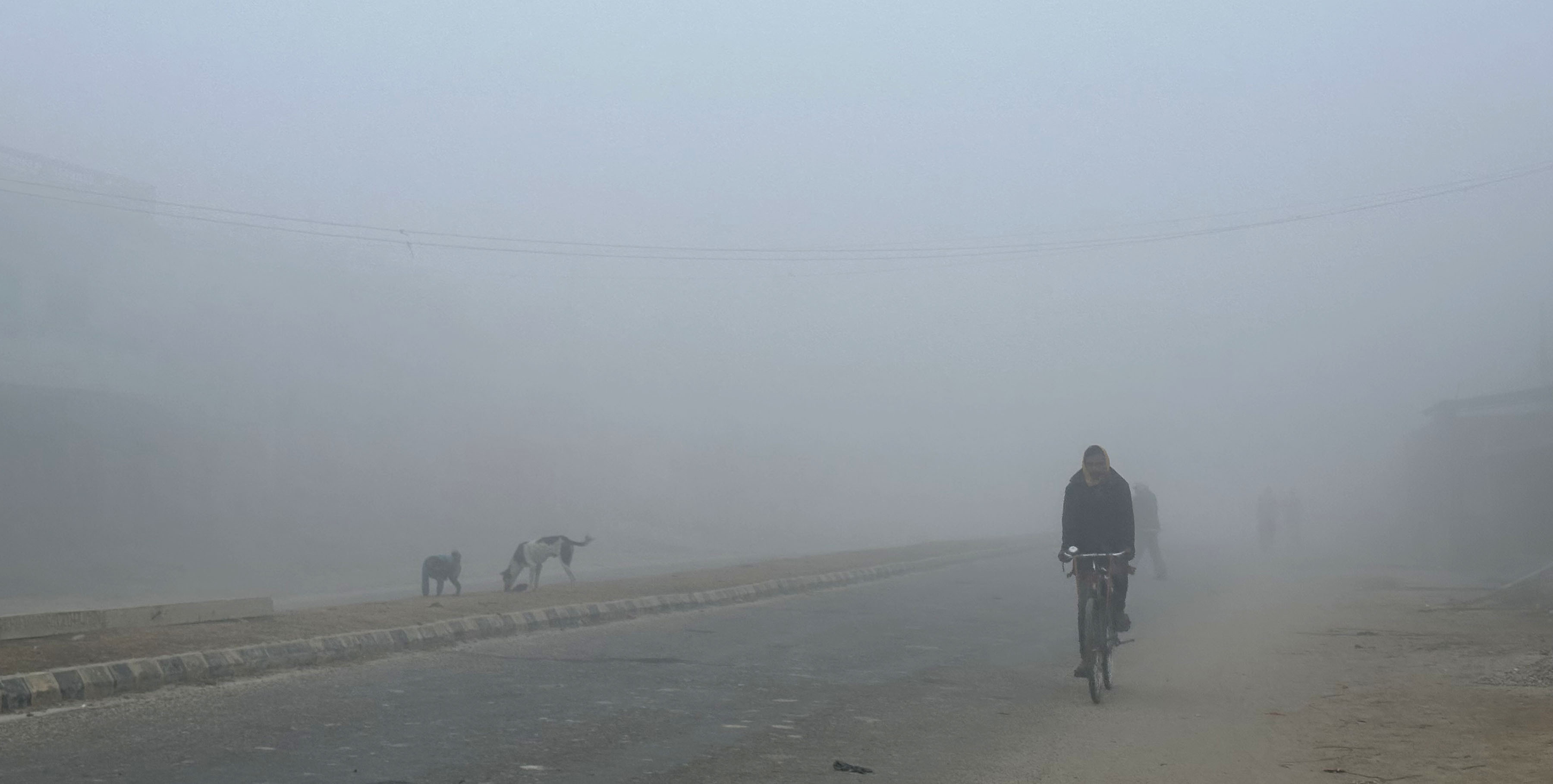 बाक्लो कुहिराका कारण तराई मधेसको जनजीवन प्रभावित