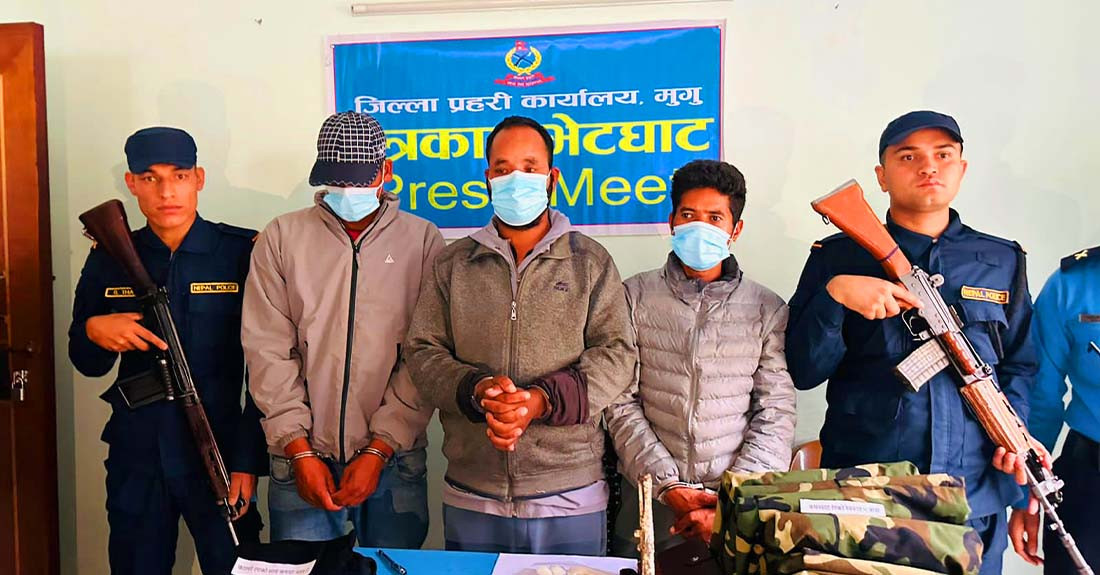 गाउँले यार्सा टिप्न गएकाे माैका छाेपी गाउँमा लुटपाट गर्ने समूहका ३ जना पक्राउ, ५ जना फरार