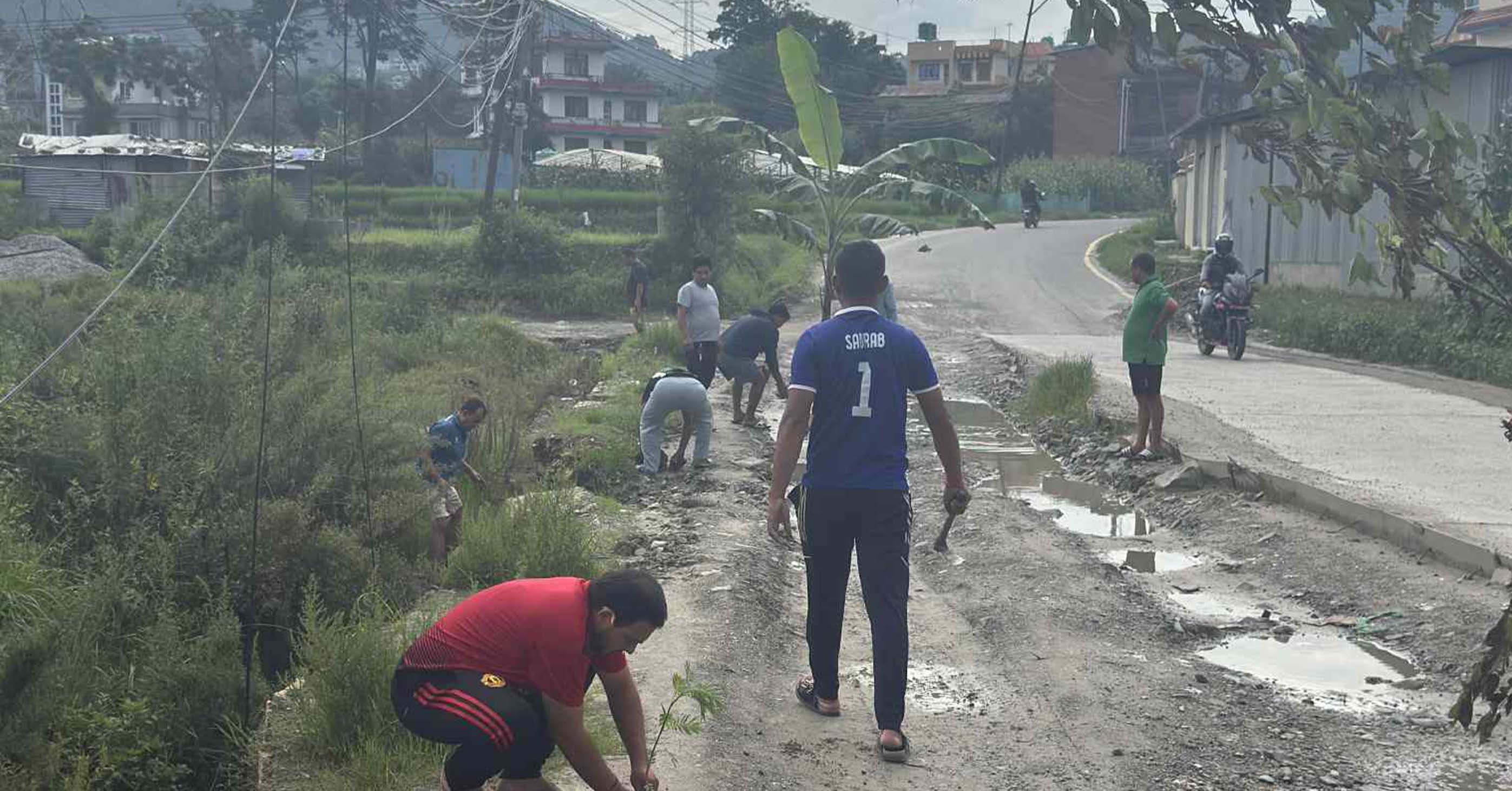 सडकमै केराको बोट रोपेर विरोध