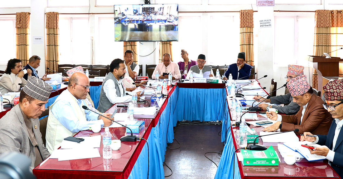 यस्ता छन् सार्वजनिक लेखा समितिका निर्णय