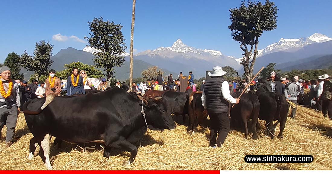 महोत्सवले पर्यटन प्रवर्द्धनसँगै अर्थतन्त्र चलायमान