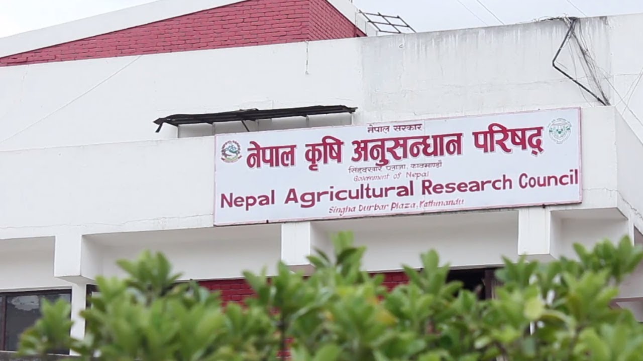 नेपाल कृषि अनुसन्धान परिषद्को सदस्य पदका लागि रोस्टर सूचीमा आवेदन खुला