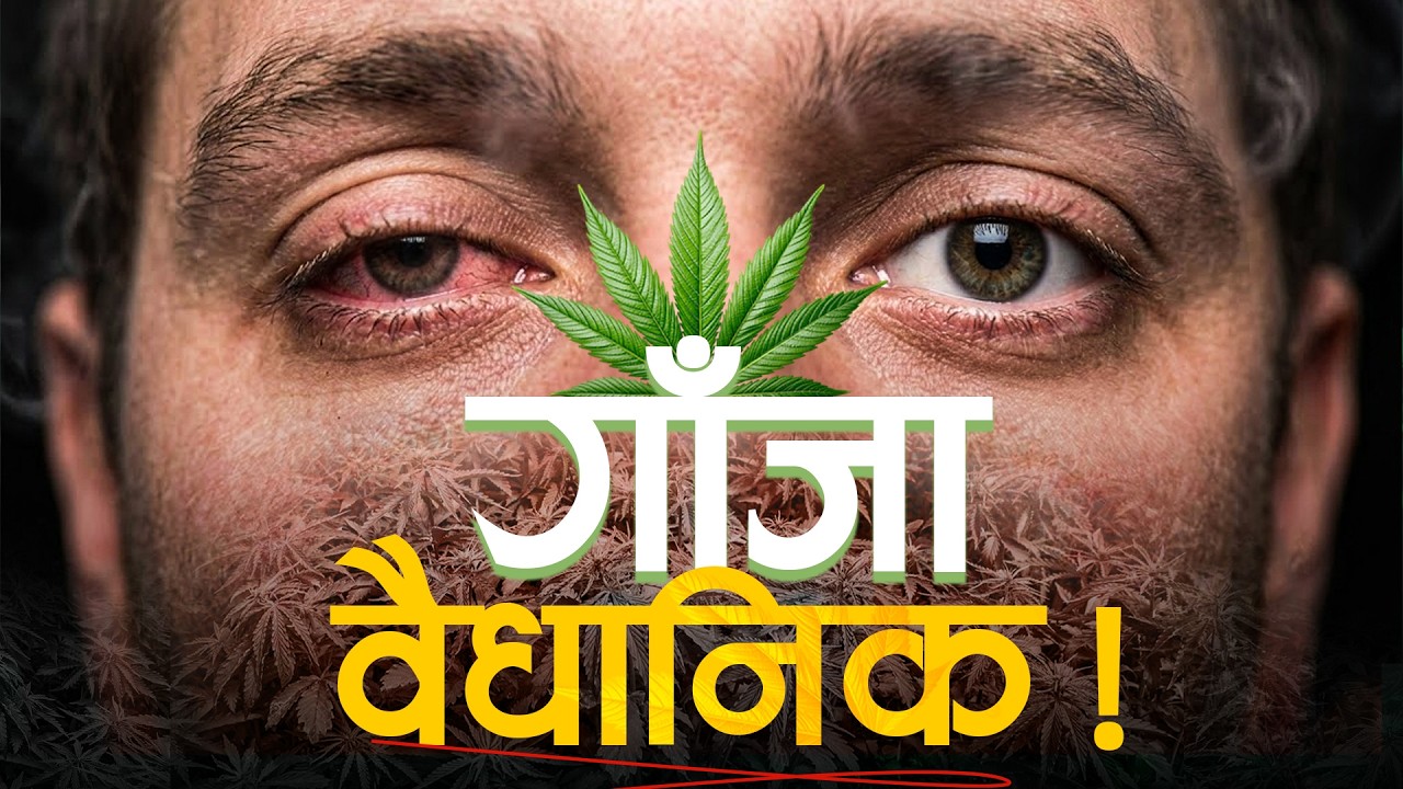 गण्डकीमा गाँजा खेतीलाई वैधानिकता, संघसँग बाझिएको कानुन कसरी हुन्छ कार्यान्वयन ?