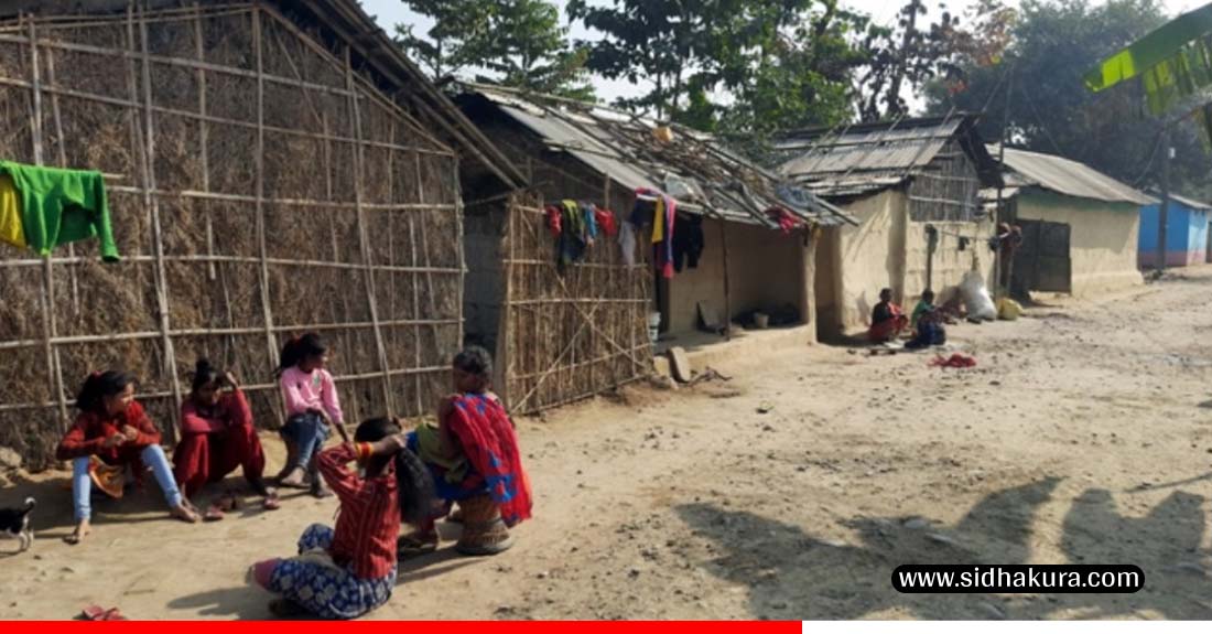 समस्याले झेलिएको मुसहर बस्ती, 'न व्यवस्थित घर, न शौचालय'