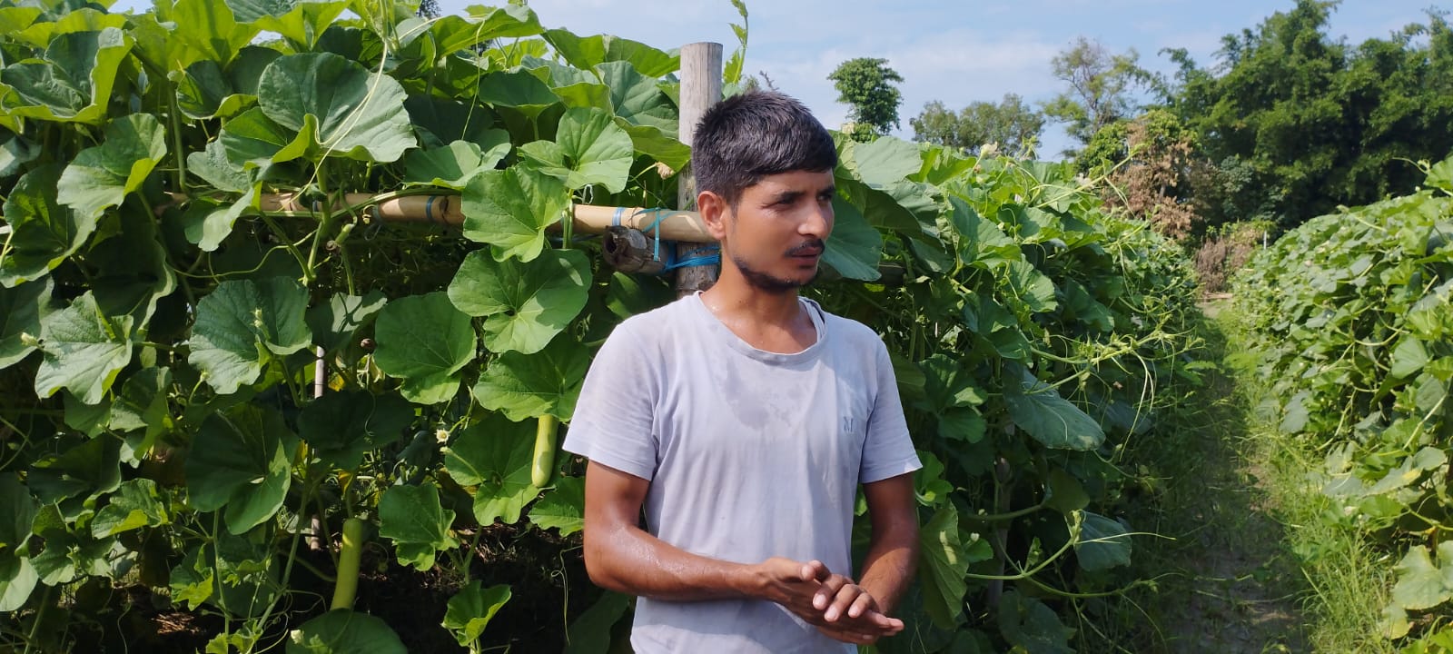 २२ वर्षअघि बाबुले सुरु गरेको सागसब्जी उत्पादनलाई छोराको निरन्तरता, मासिक दुई लाख आम्दानी