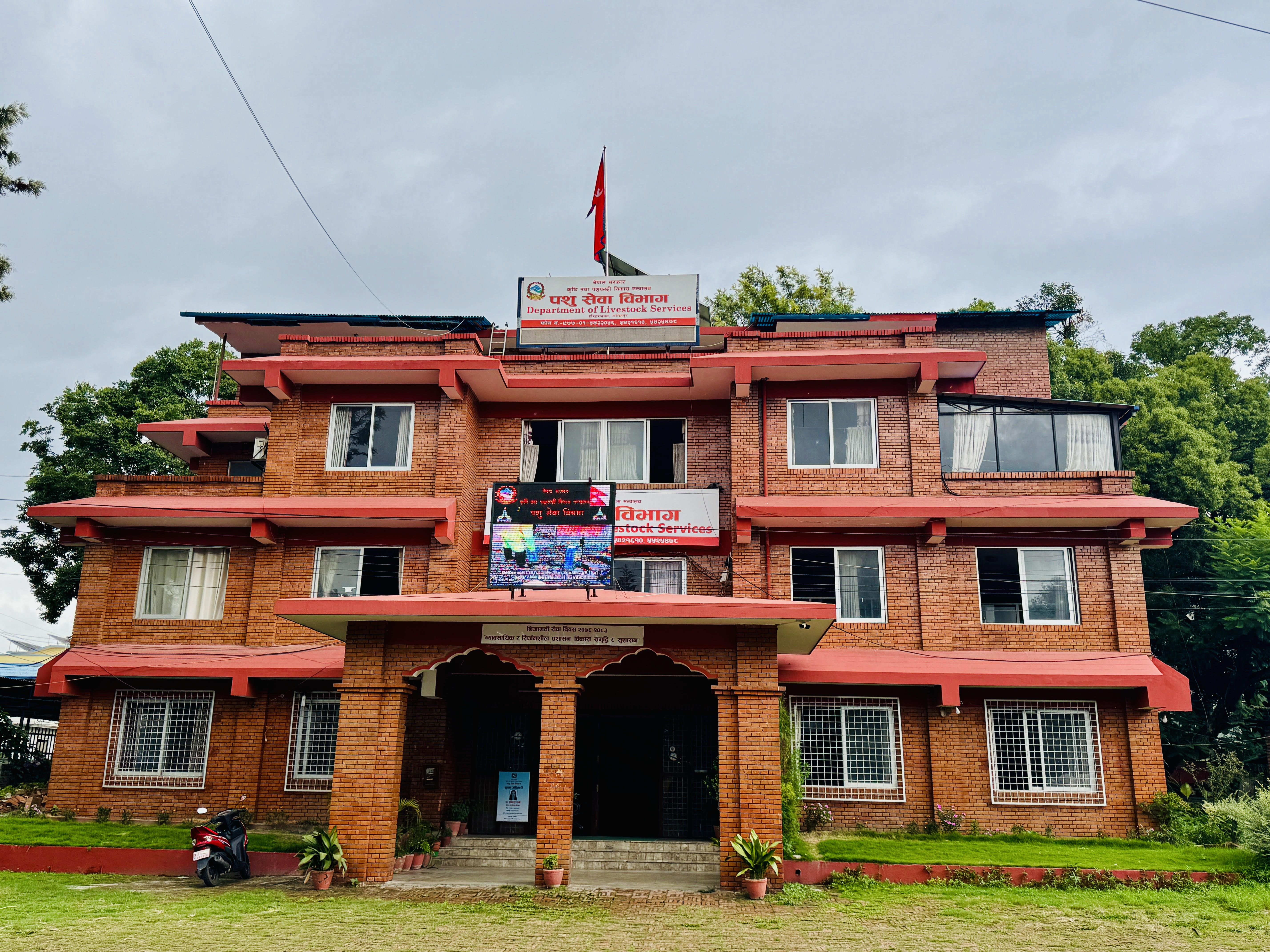 अब पशुपन्छीको वध गर्नुअगाडि र गरेपछि अनिवार्य मेडिकल जाँच गर्नुपर्ने