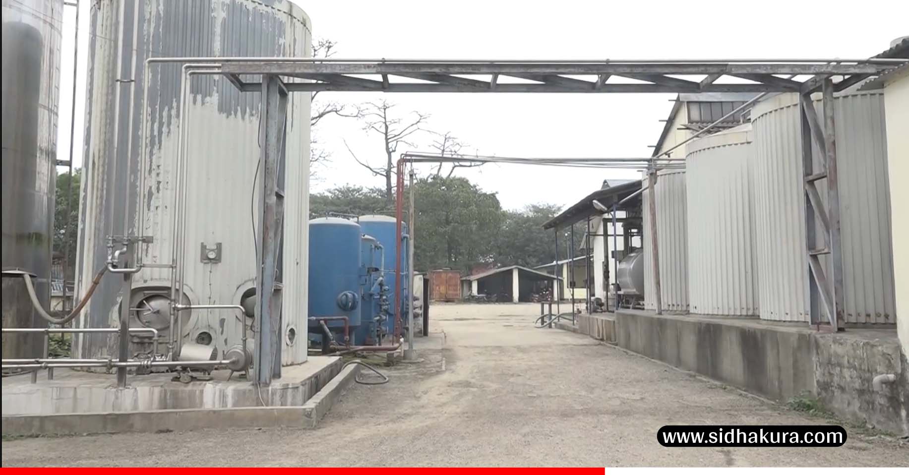 विराटनगर दुग्ध वितरण आयोजनाद्वारा पुनः पाउडर दुध उत्पादन सुरु