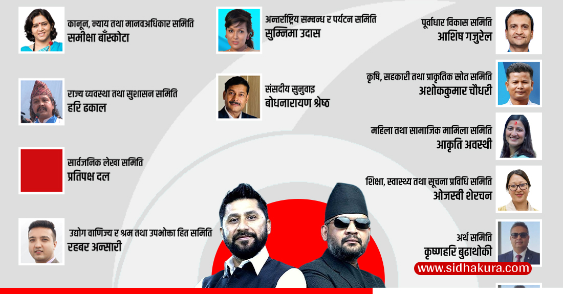 रास्वपाले टुंगो लगायो संसदीय समितिका उम्मेदवारहरु (सूची सहित)