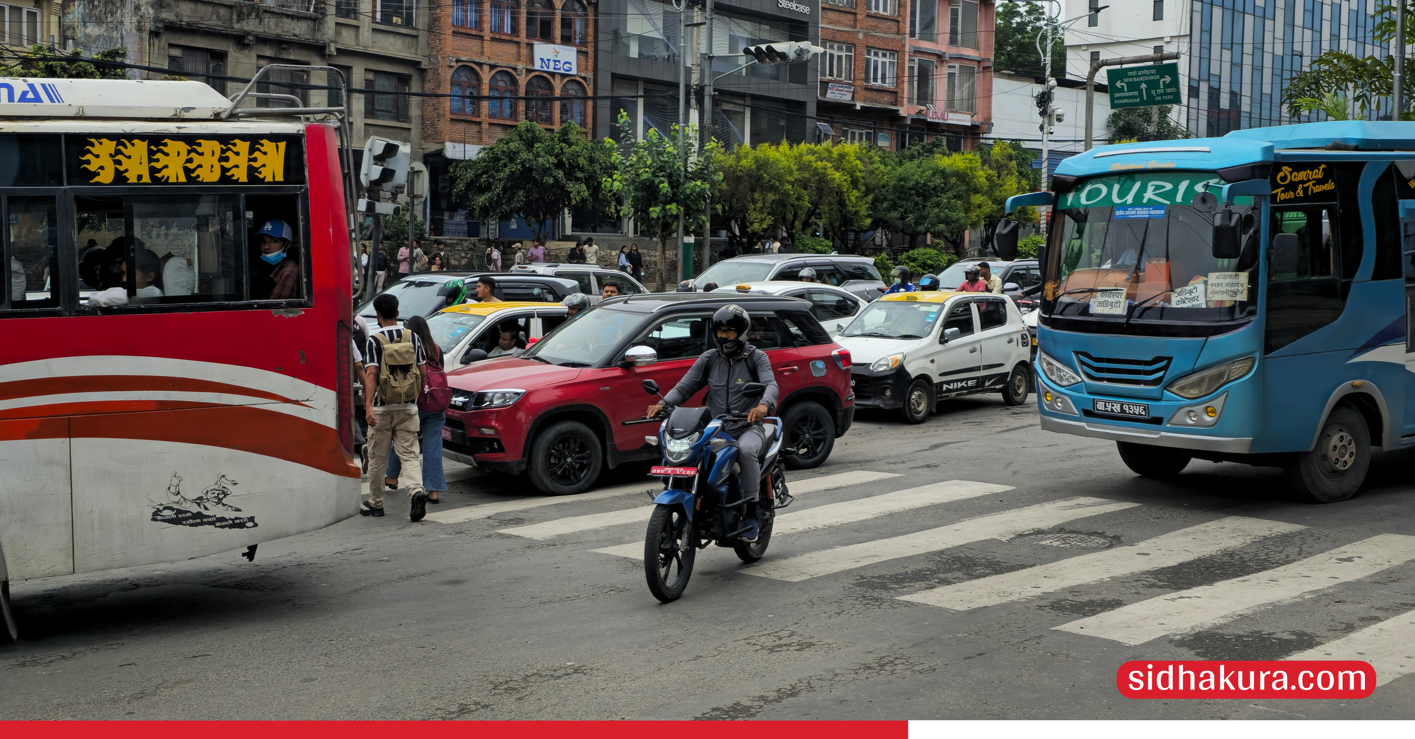 risk-at-zebra-crossing_5-1750050453.jpg