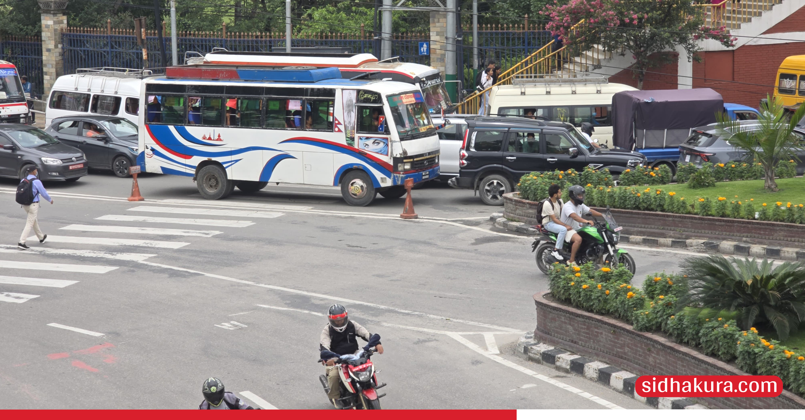 risk-at-zebra-crossing_6-1750050454.jpg