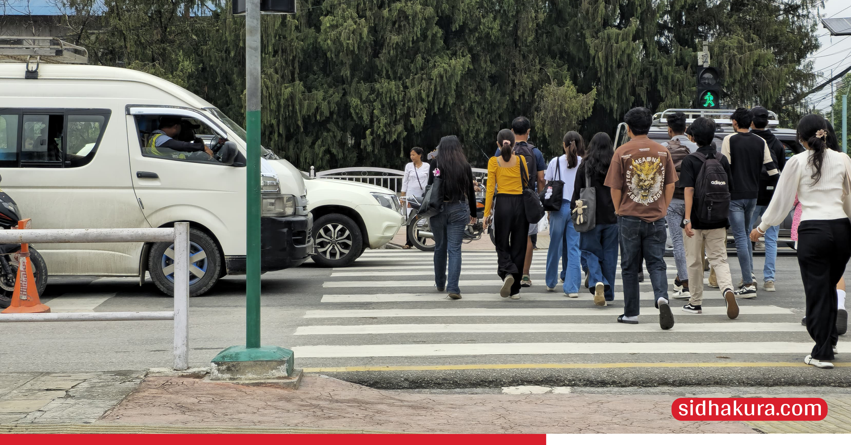 risk-at-zebra-crossing_7-1750050454.jpg