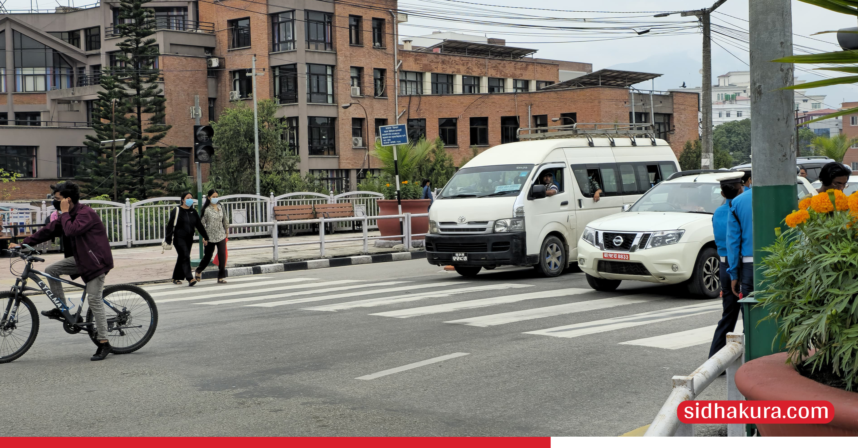 risk-at-zebra-crossing_8-1750050456.jpg