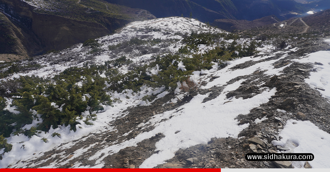 हिमपातले  मुस्ताङका किसानलाई राहत