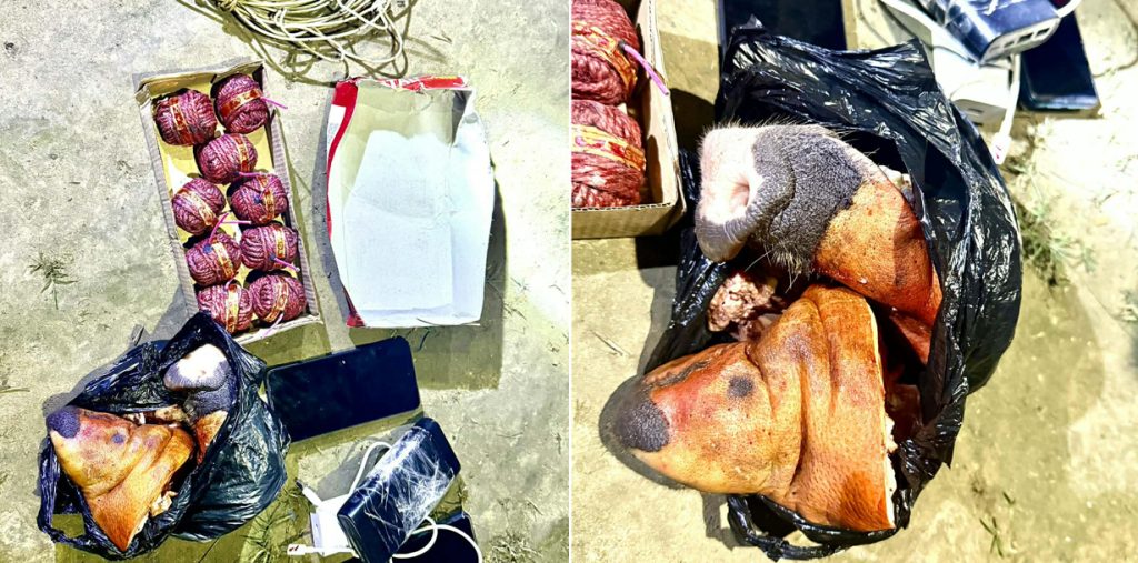 ९ वटा सुतली बम र सुँगुरको टाउकोसहित वीरगञ्जबाट ३ जना पक्राउ