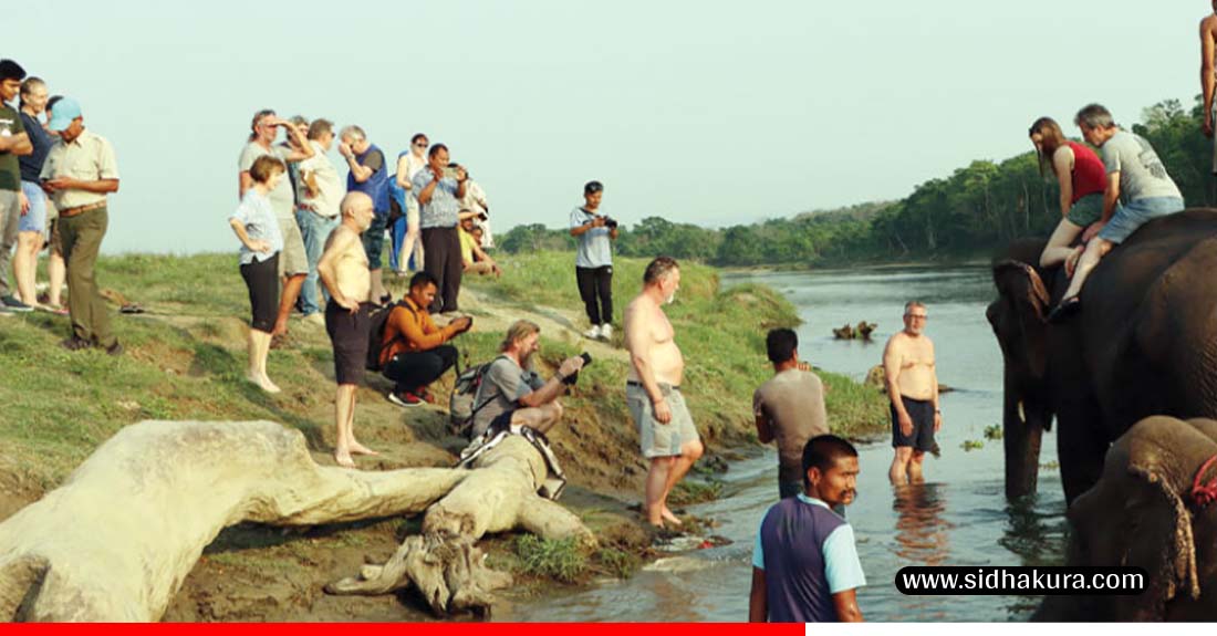 चितवन राष्ट्रिय निकुञ्जमा पर्यटक आगमनमा वृद्धि