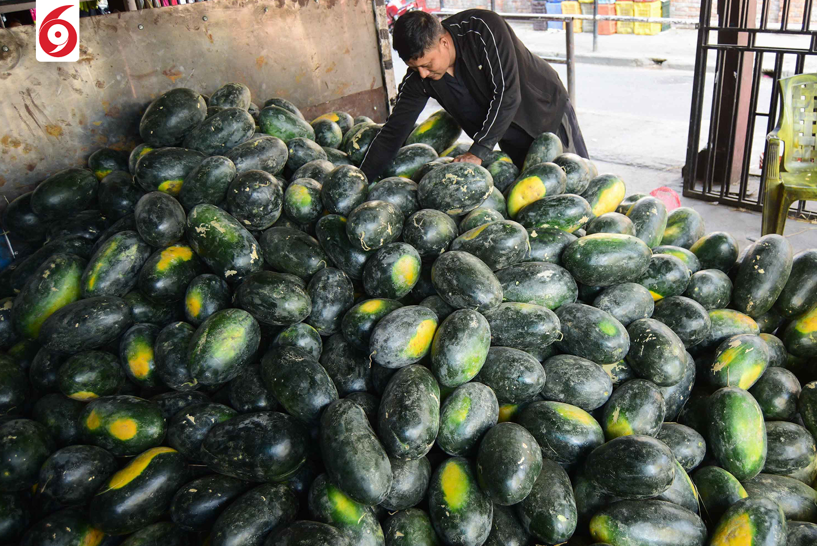 watermelon-1747288725.jpg
