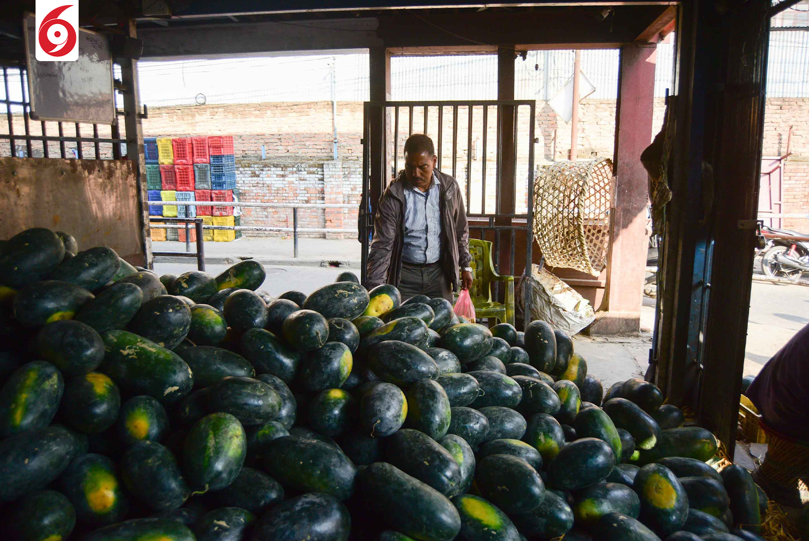 watermelon-7-1747288713.jpg