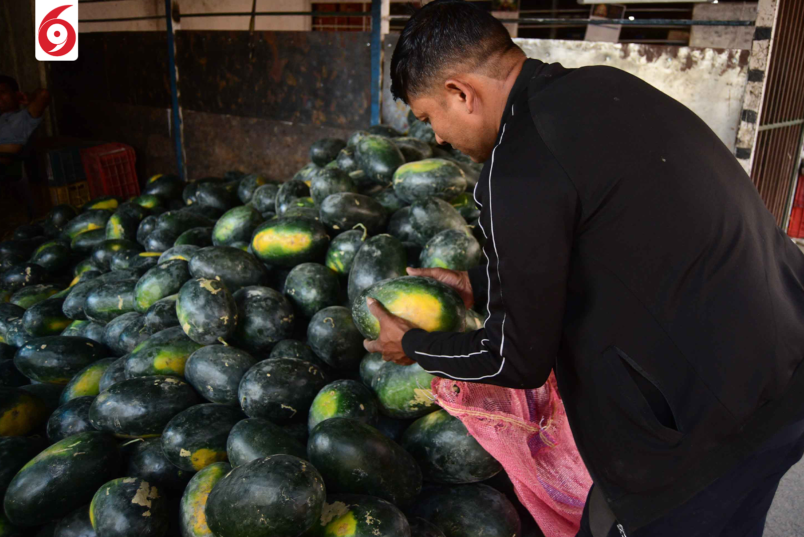 watermelon-8-1747288713.jpg